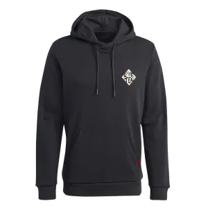 adidas - Herren Five Ten Graphic Hoodie (HT9604)