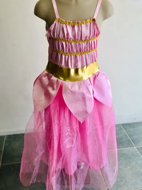 Aschenputtel Rosa Verkleidung