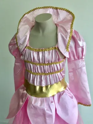 Aschenputtel Rosa Verkleidung