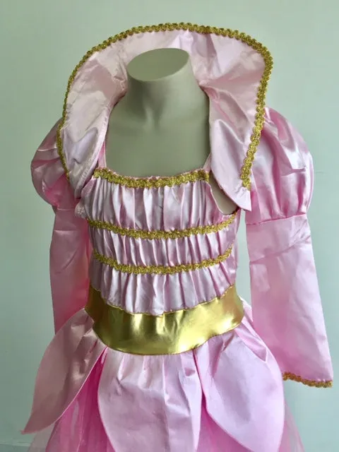 Aschenputtel Rosa Verkleidung