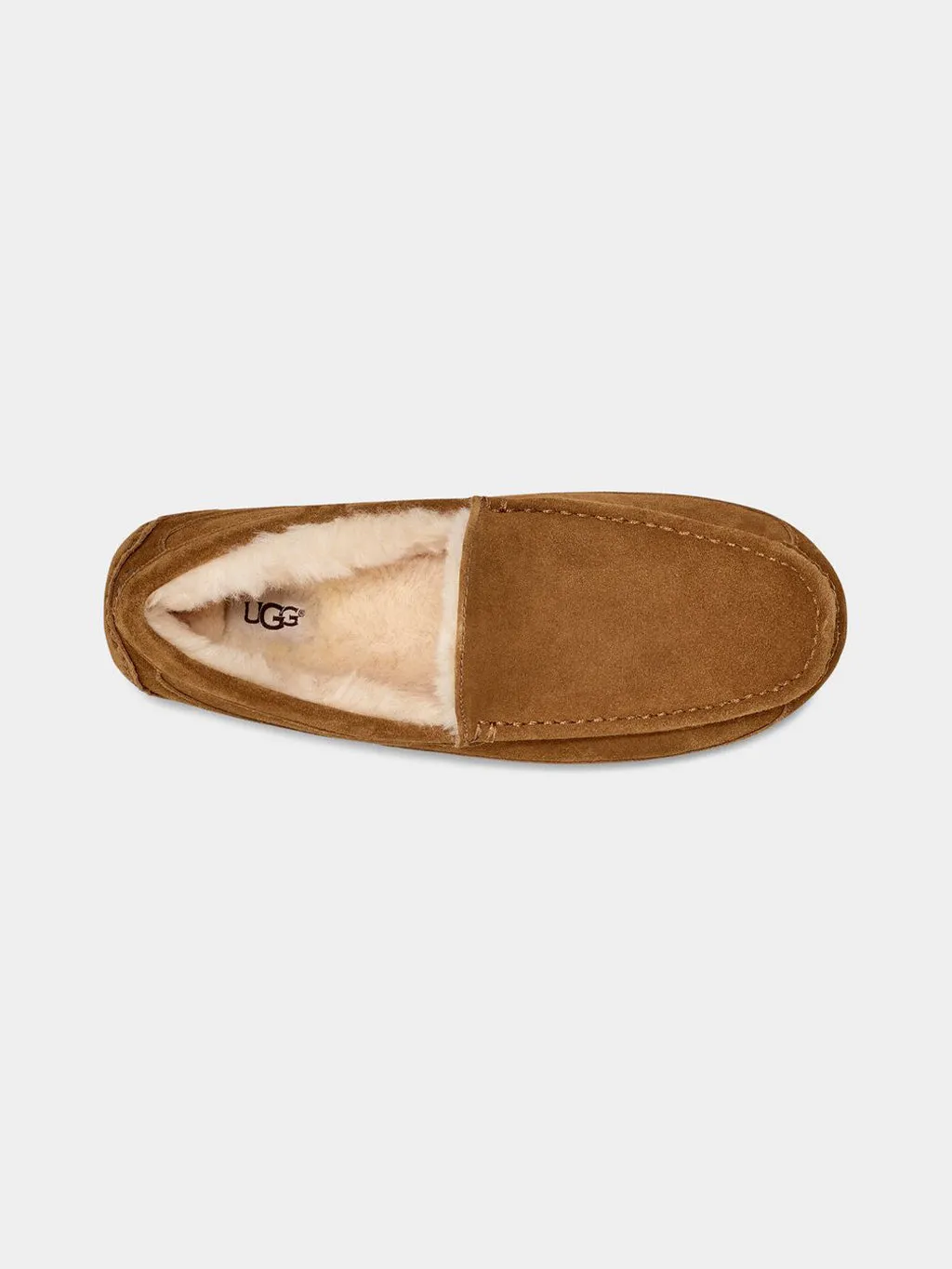 Herren-Ascot-Hausschuh